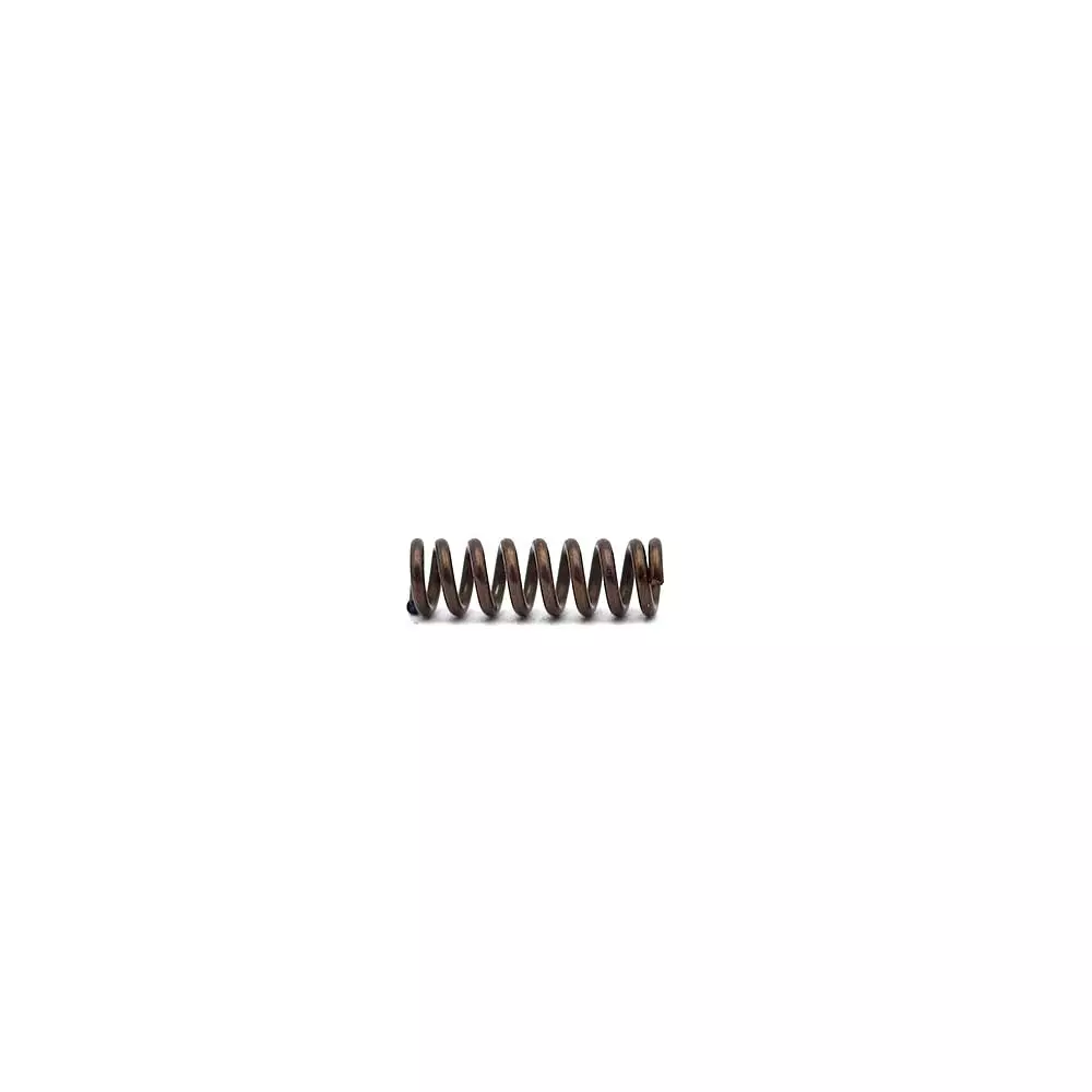 CZ P-10 Disassembly Plate Spring