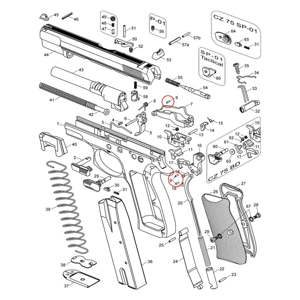 Eemann Tech Hammer Strut Pin für CZ-Artikelnummer-PN202312181-von-[manufacturer