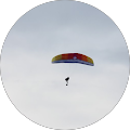 user_profile