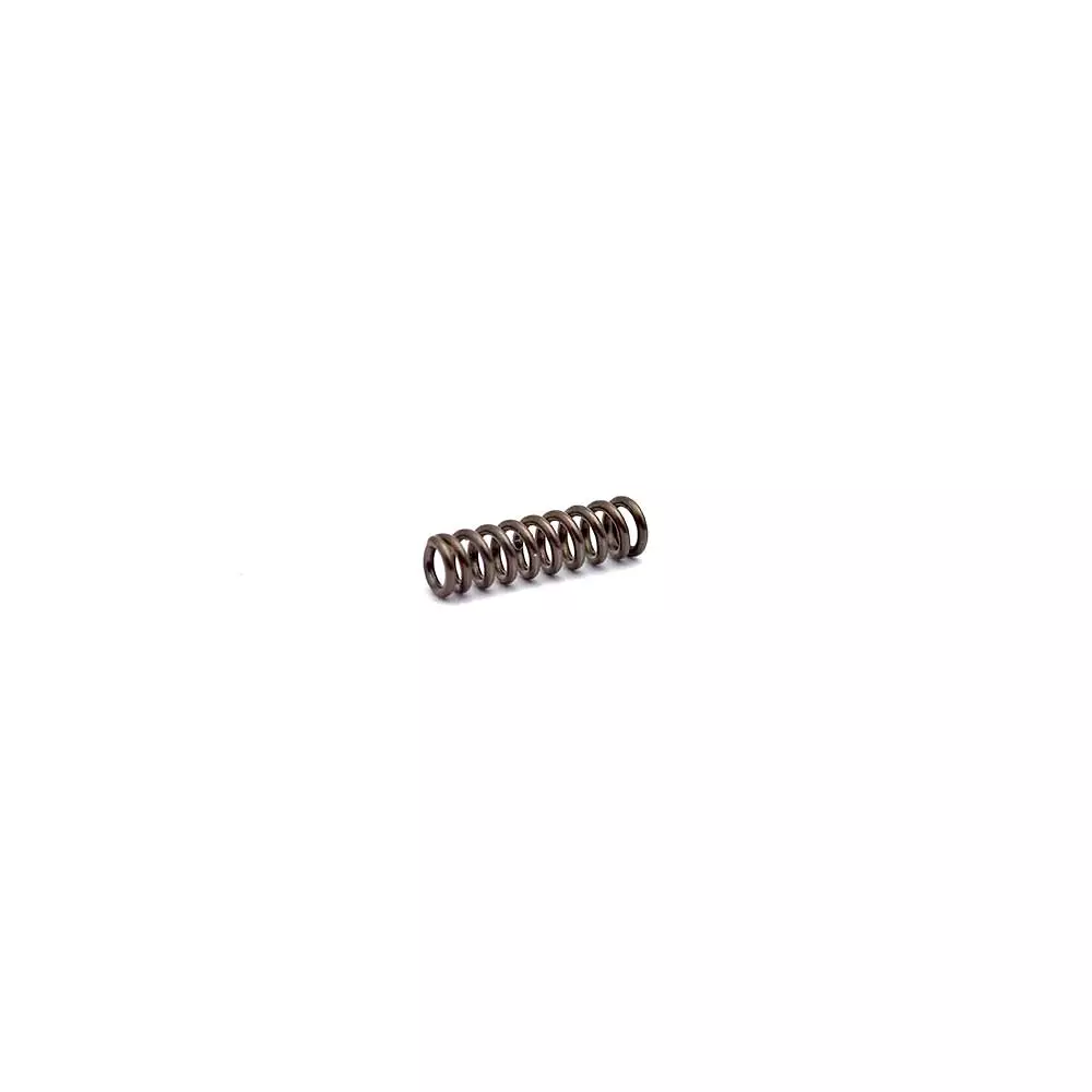 CZ 75 Safety Detent Plunger Spring